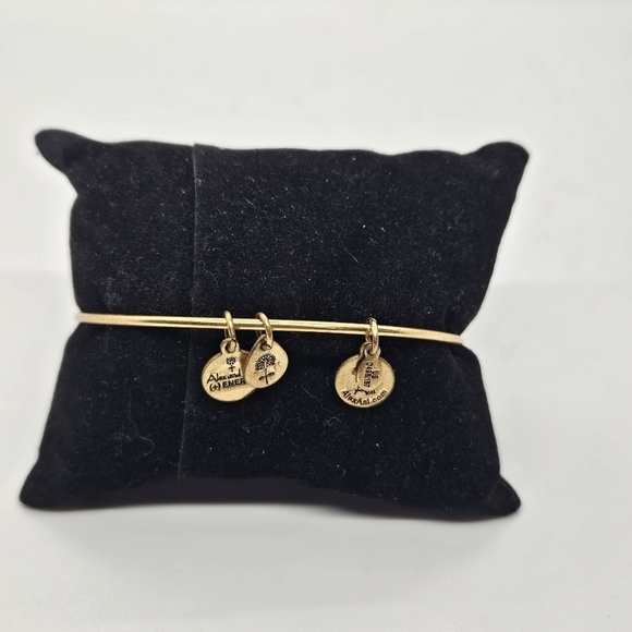Alex and Ani expandable bangle bracelet gold tone Completely Blessed - Picture 4 of 4